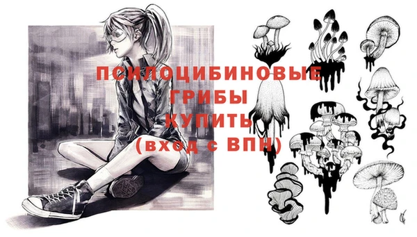 PSILOCYBIN Верхнеуральск