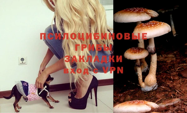 PSILOCYBIN Верхнеуральск