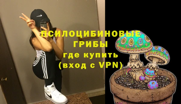 PSILOCYBIN Верхнеуральск